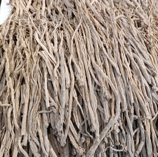 Rễ đẳng Sâm 1