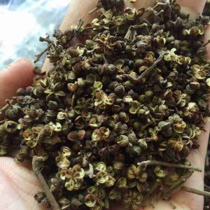 Hạt mắc khén
