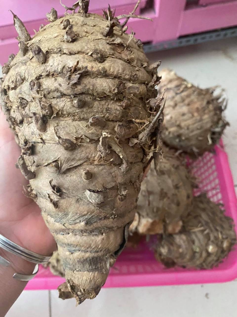 Còn có tên nghệ độc thân