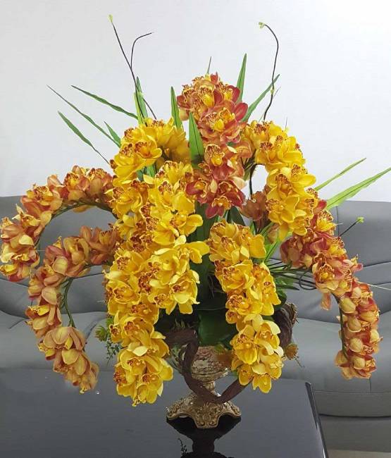 Hoa địa lan trang trí Tết
