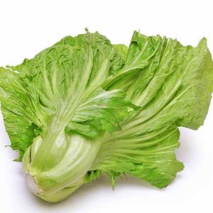 Hạt giống cải bẹ đông dư
