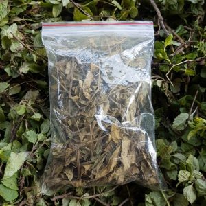 Địa chỉ mua cây sương sáo khô