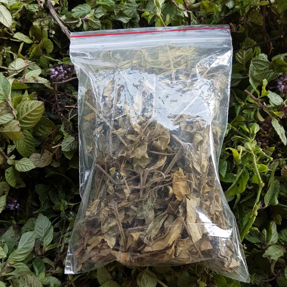 La sương sáo tươi phơi khô