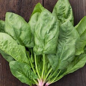 Hạt giống cải bó xôi F1 ( chịu lạnh ) – High Quality Seeds
