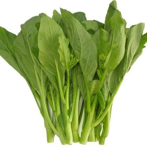 20gram hạt giống cải ngồng cao sản