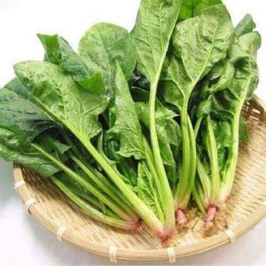 Hạt giống cải bó xôi của Thái