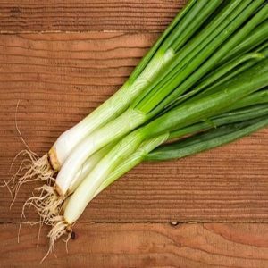 Hạt giống hành hoa nhập khẩu của Thái