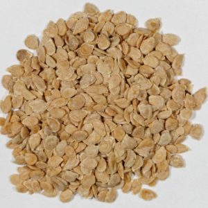 Hạt giống cà chua bạch tuộc