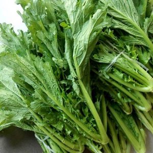 20gram hạt giống cải bẹ mào gà trẻ lâu
