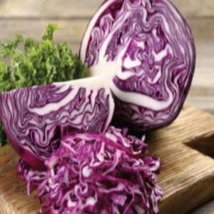 Hạt giống bắp cải tím