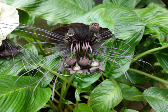 Râu Hùm 6
