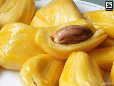 Quả mít nghệ tứ quý trông rất bắt mắt