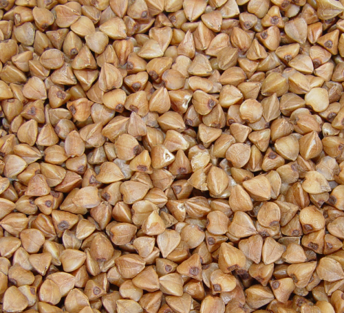 Tam Giác Mạch 1