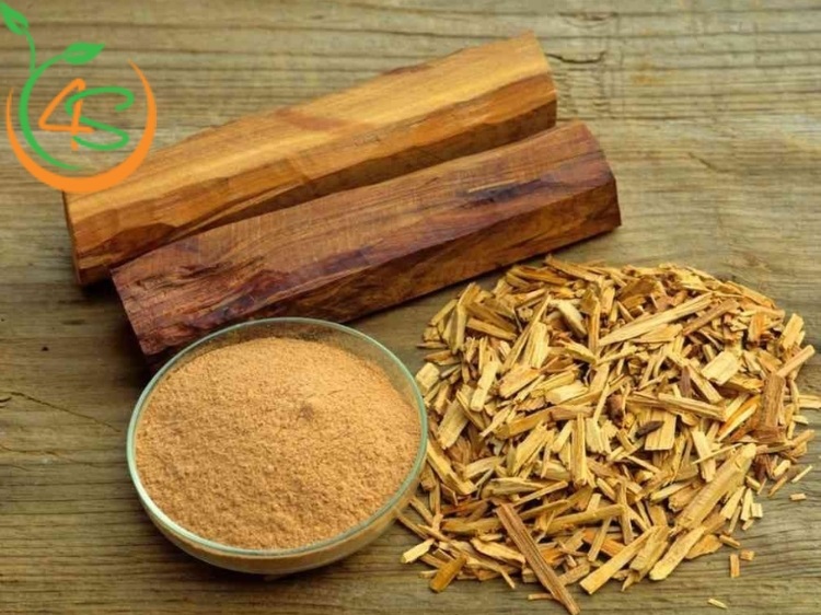 Cây Đàn Hương Trắng 9 cây đàn hương trắng ấn độ