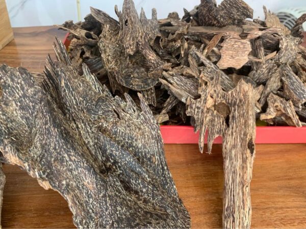 Giá trị kinh tế của cây trầm hương