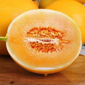 Hạt Giống Dưa Lê Kim Hoàng Đế F1 - 10 Hạt