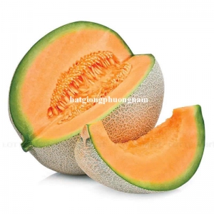 Hạt Giống Dưa Lưới Ruột Vàng Vỏ Mỏng F1 - 10 Hạt