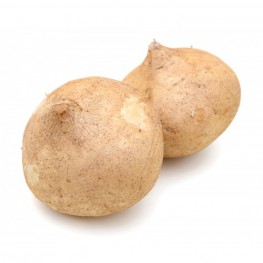 Hạt Giống Củ Đậu ( Củ Sắn ) - 20 Hạt