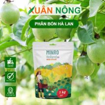 PHÂN HÀ LAN