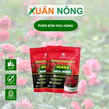 MINRO HOA HỒNG
