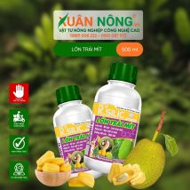 PHÂN BÓN LÁ K SILLIC - LỚN TRÁI MÍT