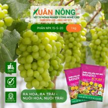 Phân bón NPK 15 - 5 - 20 (1KG)