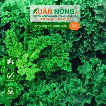 Hạt giống cải xoăn kale