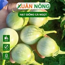 Cà Ngọt Lai F1