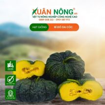 HẠT GIỐNG BÍ ĐỎ DA CÓC