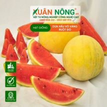 HẠT GIỐNG DƯA HẤU VỎ VÀNG RUỘT ĐỎ