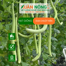 Hạt giống dưa chuột rắn