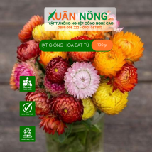 Hạt giống hoa bất tử