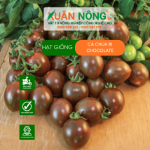 Hạt giống cà chua bi chocolate