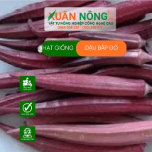 Hạt giống đậu bắp đỏ