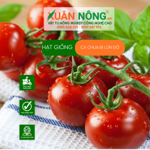 Hạt giống cà chua bi lùn đỏ