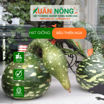 Hạt giống bầu thiên nga
