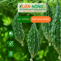 Hạt giống khổ qua rừng