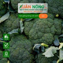 Hạt giống bông cải xanh