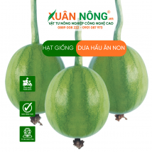 Hạt giống dưa hấu ăn non