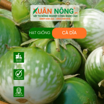 Hạt giống cà dĩa