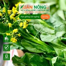 Hạt giống cải ngồng