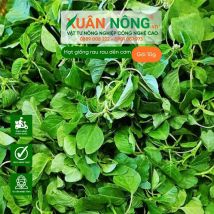 Hạt giống rau dền cơm