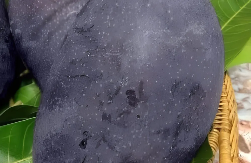 Xoài Black Stone 