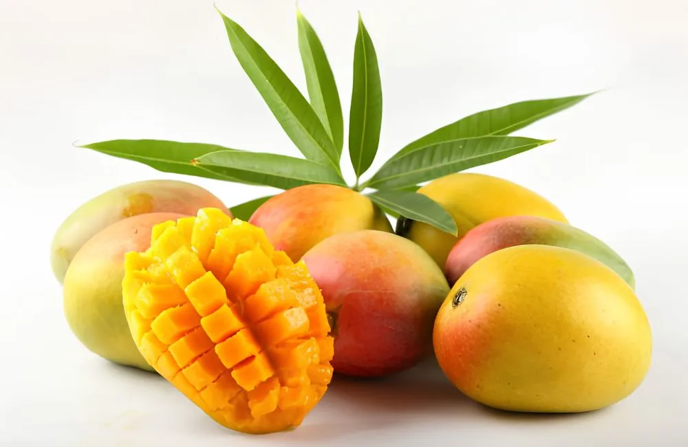 Xoài Alphonso