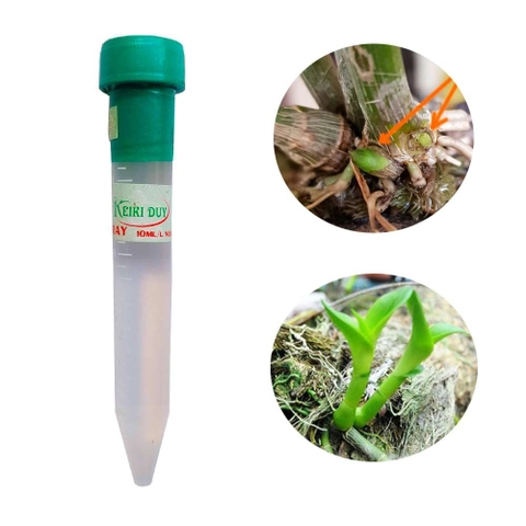 THUỐC KÍCH CHỒI KEIKI DUY SPRAY