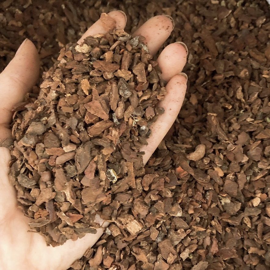 Vỏ thông trồng lan 1Kg