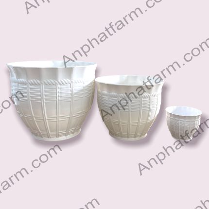 Chậu mây đan bầu 10X6H
