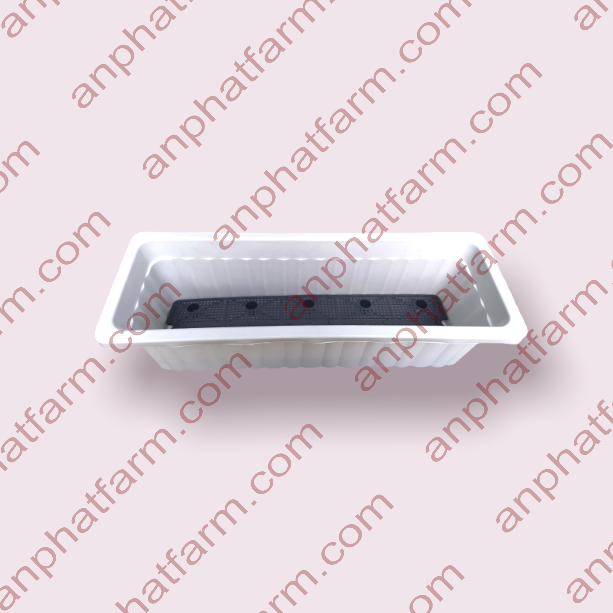 Bộ chậu dài cn 64x22x19