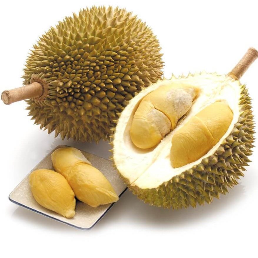 Cây giống Sầu riêng Thái (monthong)