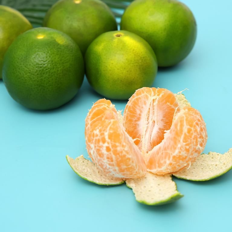 Cây giống Quýt đường